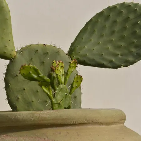 Baia Portinenti 4* Lipari (Isola Lipari)